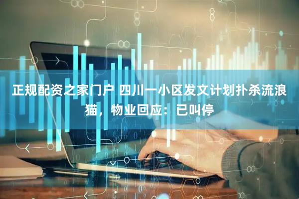 正规配资之家门户 四川一小区发文计划扑杀流浪猫，物业回应：已叫停